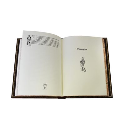 Футбол. Правила, история, тренировка, тактика, игра